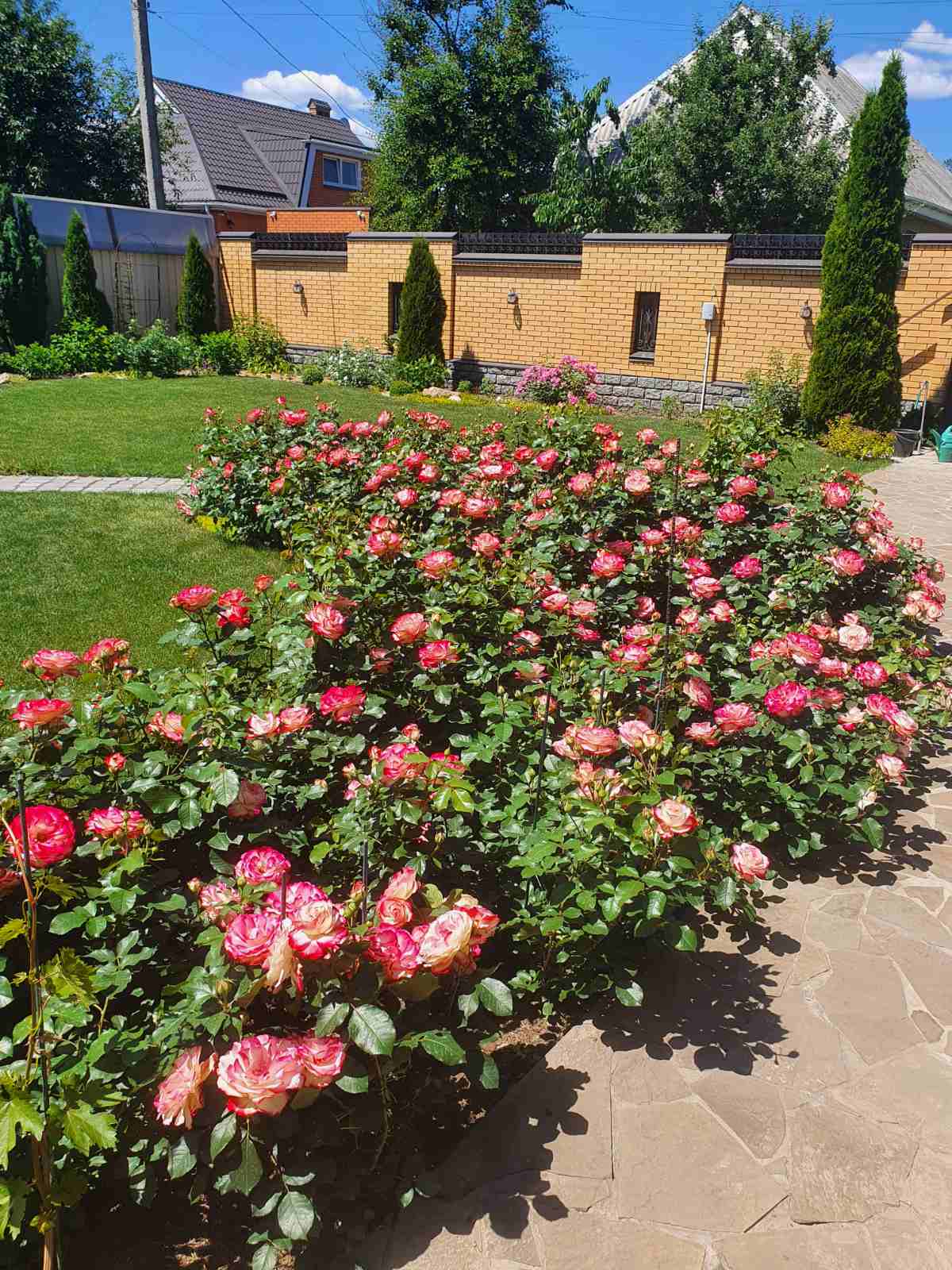 Ювілей